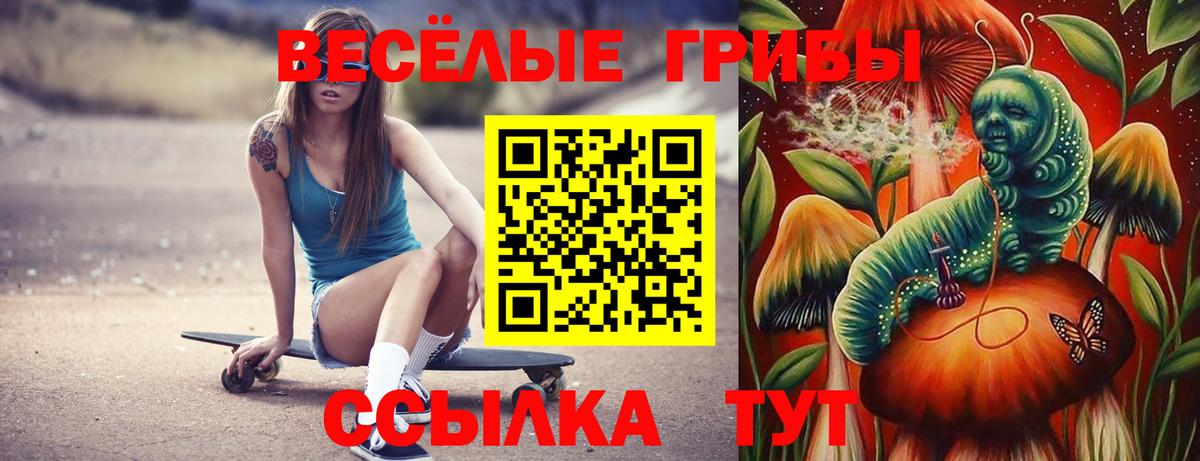 Псилоцибиновые грибы MAGIC MUSHROOMS Коркино